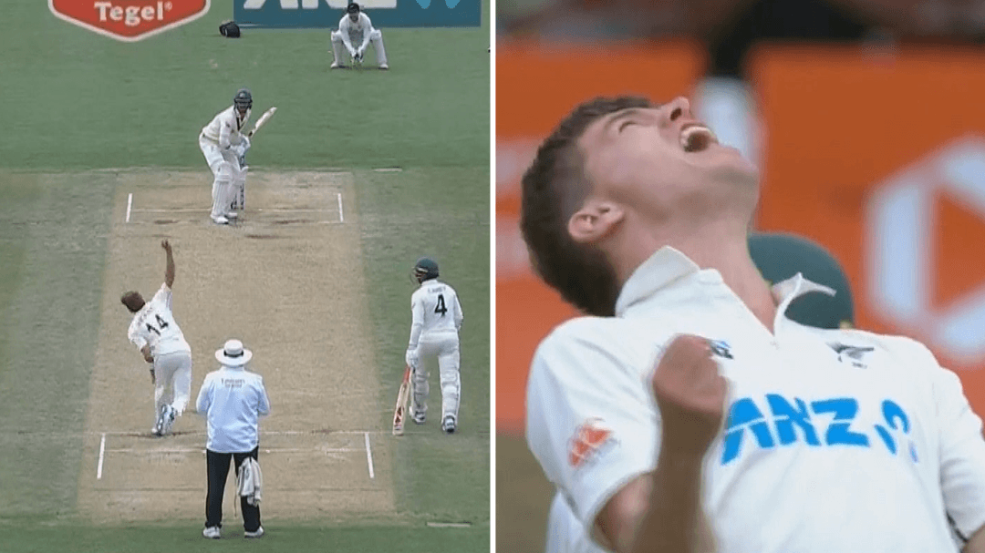 Alex Carey and Pat Cummins bat Australia to nail-biting victory as New Zealand 'spiral out of control' 