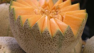 Rockmelons have been the cause of a listeria outbreak