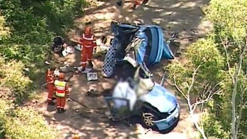 A man has been killed following a collision with a tree in Fern Hill. (9NEWS)
