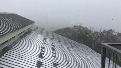 A sprinkling of white in Mt Buller. (Facebook)