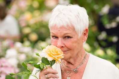 Judi Dench attends RHS Chelsea Flower Show press day at Royal Hospital Chelsea on May 22, 2017 in London, England.