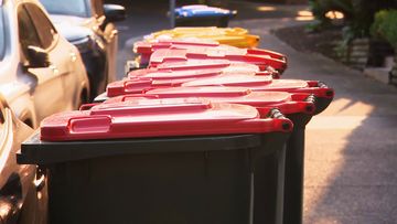 Red bins in the Inner West council area of Sydney.
