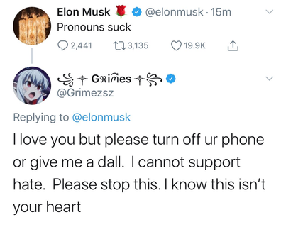 Grimes, Elon Musk