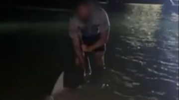 A group fishing near a popular swimming spot in Sydney&#x27;s south last night was surprised when they came face-to face with a bull shark.