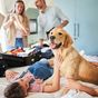 Here's what you need to know about holidaying with pets
