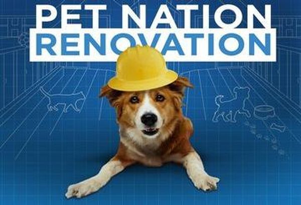Pet Nation Renovation