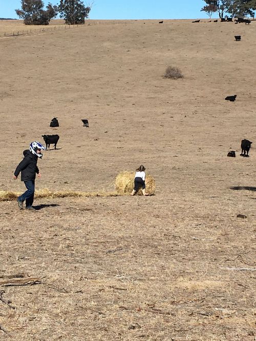 Sarah McKiernan and her family have sold 500 cattle because of the NSW drought.