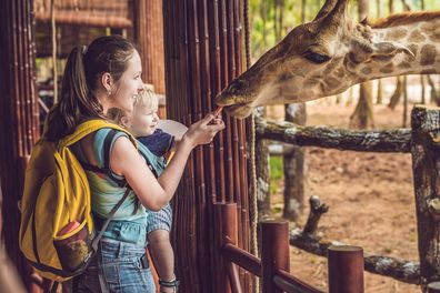 Family at the zoo