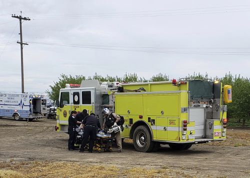 Two teenage boys were electrocuted while trying to rescue a dog from an irrigation canal at an orchard in Dixon, California. 