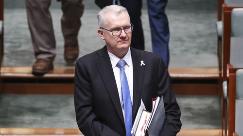 Minister for Home Affairs, Minister for Immigration and Citizenship, Minister for Cyber Security, Minister for the Arts and Leader of the House Tony Burke arrives for Question Time at Parliament House in Canberra on Thursday 28 August 2025. fedpol Photo: Alex Ellinghausen