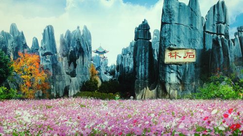 Ken Duncan took this photo of a billboard before visiting the Stone Forest in China. On arrival he realised the flowers weren't really part of the landscape. (Ken Duncan)