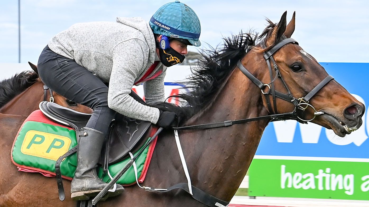 Melbourne Cup horses 2020 Shane Crawford's tips, mug punting guide