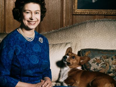 The Queen's last corgi has died