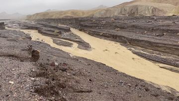 Water flowing in Death Valley in the US as tropical storm Hilary makes  its impact felt.