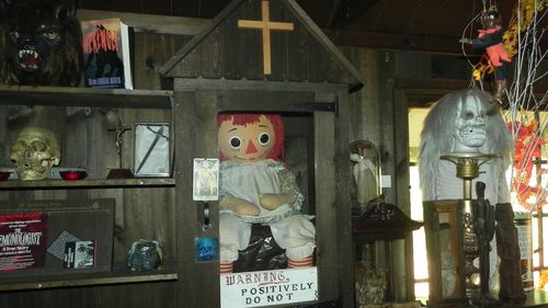 Bir paranormal araştırmacısı, ABD turunda Annabelle bebeği ile çalışıyordu.
