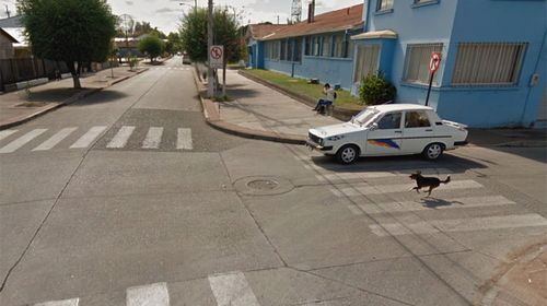 Another dog is seen running towards the Street View car in Santiago. (Google)