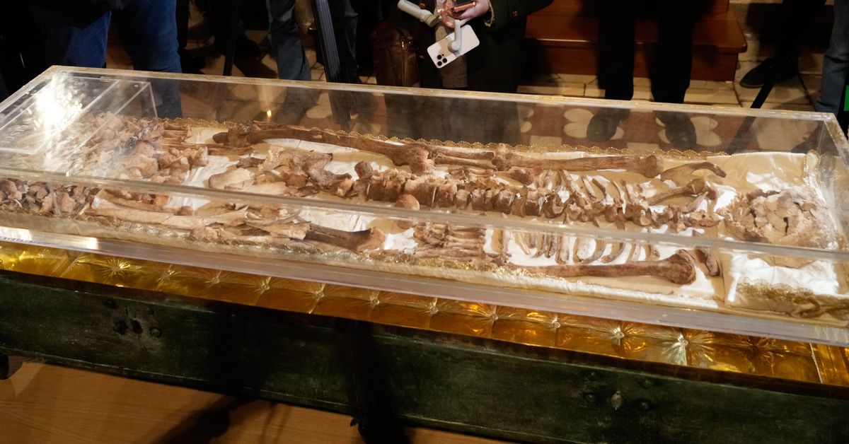 Set of bones drawing hundreds of thousands to small Italian town