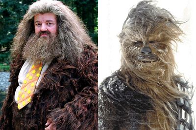 He's tall, lovable, cuddly, hairy, speaks a strange language and makes us laugh. But he'd give you the shaggy pelt off his back if you needed it, and when the chips are down he'll use his unique powers to save the day. (Hagrid/Chewbacca)