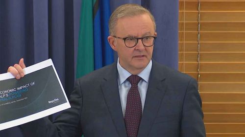 Opposition Leader Anthony Albanese has released his new climate policy.