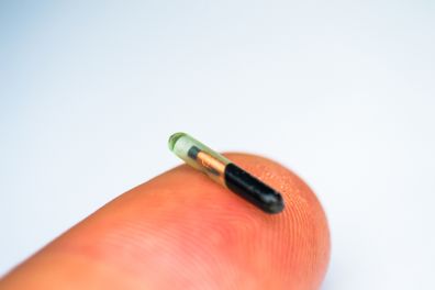 Pet microchip