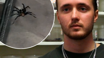 Sydney teen Ollie Kay was bitten by a funnel-web while he was sleeping.