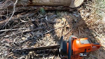 A Chainsaw Next to a Log