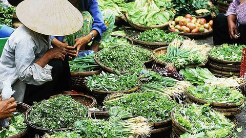 A new leaf: the joy of leafy greens