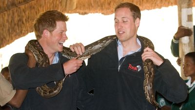 Prince Harry and Prince William pose with a python during a visit to Botswana, Africa in 2010