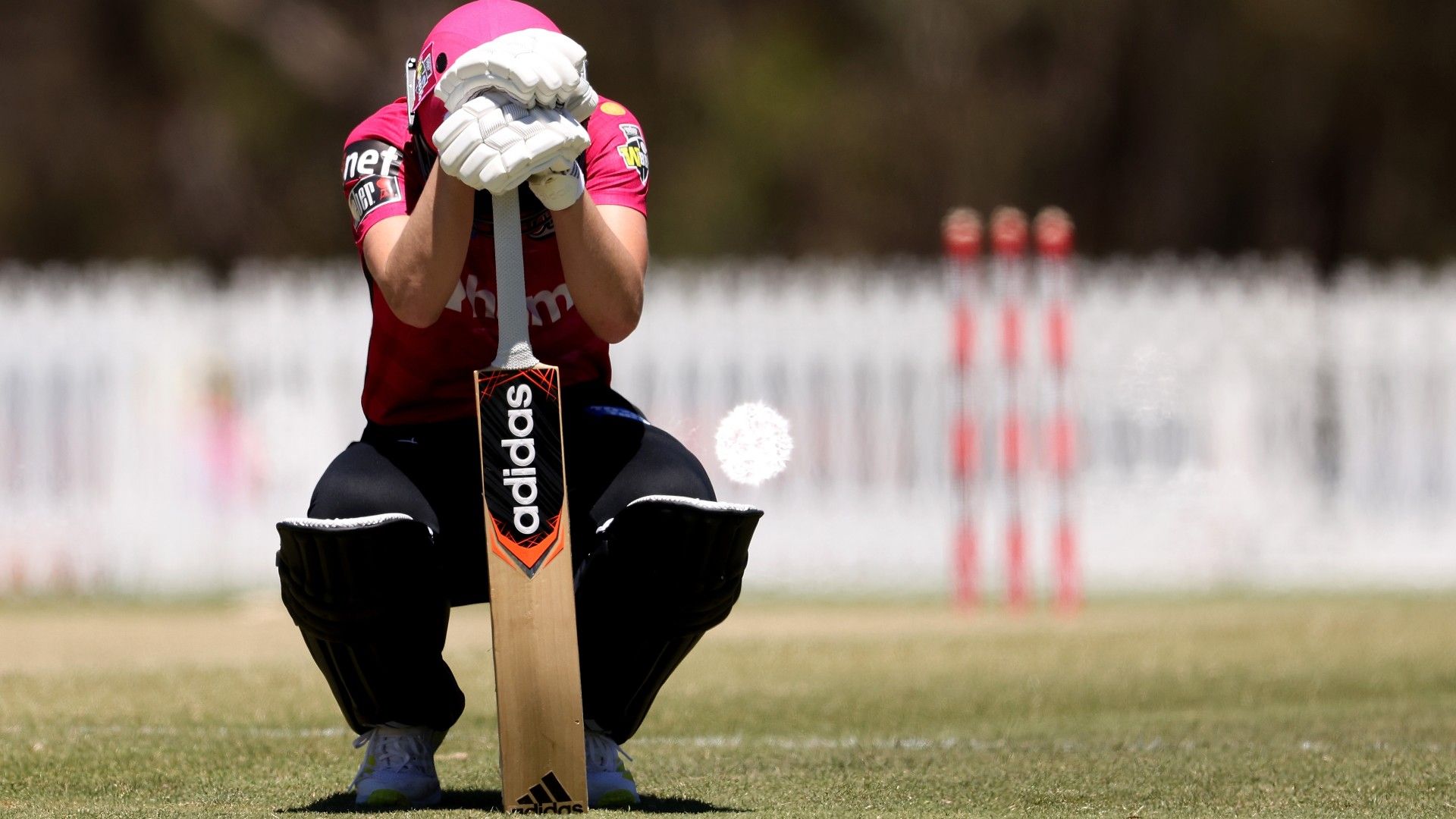 Sixers lose to Renegades, on three-match WBBL losing streak