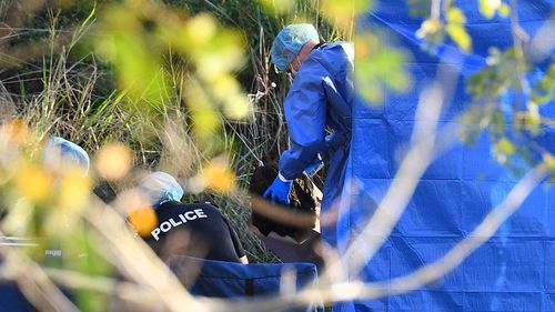 Police search the crime scene at Kangaroo Point.