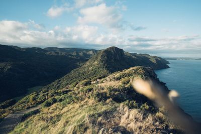 Walk in nature in the Waitakere Ranges