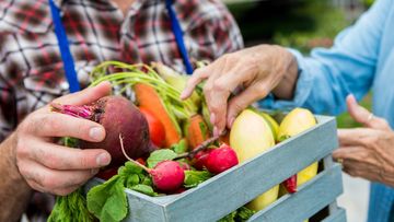 save money on groceries and food by shopping outside of supermarkets