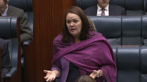 Opposition Leader Liza Harvey voted against the bill.