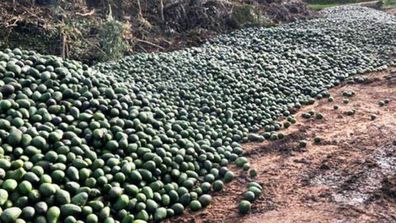 Ben Fordham shared a far North Qld resident's image of dumped avocados
