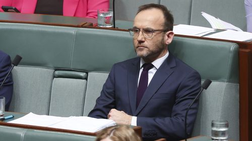 Greens leader Adam Bandt during Question Time