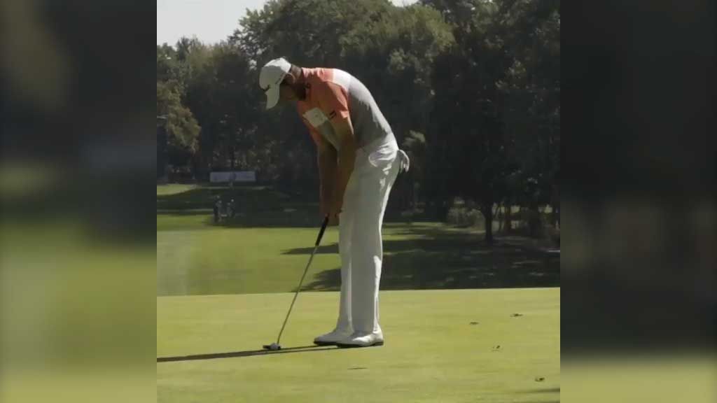 Stray leaf jeopardizes golferâ€™s chances