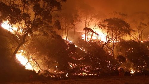 NSW 2019-20 Bushfire Inquiry Images