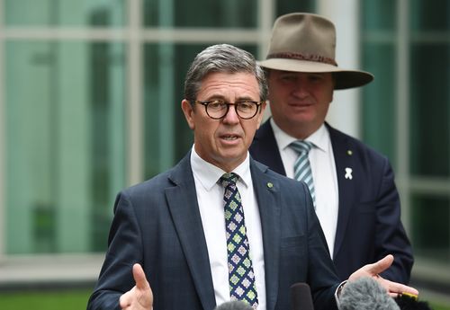 His confirmed contender, Mr Gillespie, is facing a High Court challenge over an Australia Post outlet in a small suburban shopping complex he owns on the mid-north coast. (AAP)