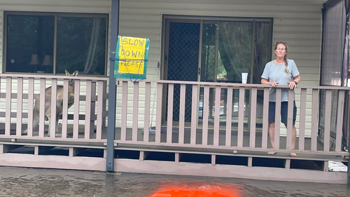 Woman and kangaroo watch over floodwaters in Woodburn, NSW. 