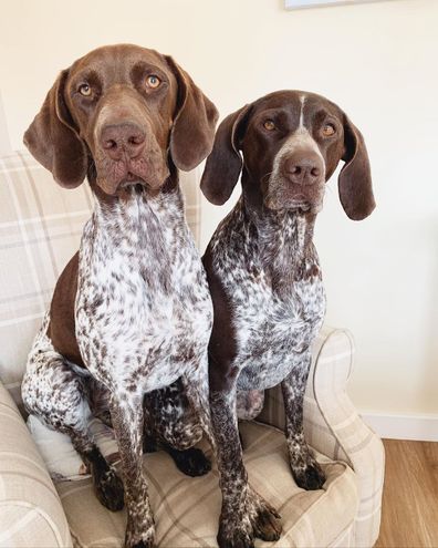 River and Winnie regularly cause mischief together.