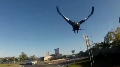 The cyclist says drivers like to slow down and watch the show.