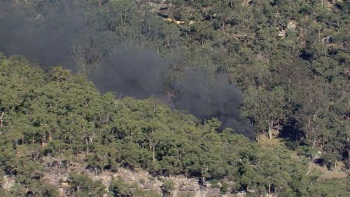 A pilot has died after a helicopter crash in Sydney on Saturday morning.