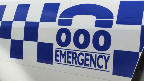 police generic