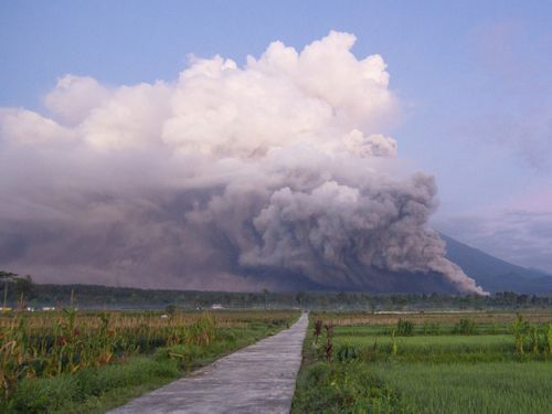 Le mont Semeru libère des matériaux volcaniques lors d'une éruption Lumajang, Java oriental, Indonésie. 