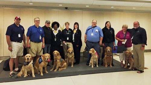 (Facebook/Lutheran Church Charities Comfort Dogs)