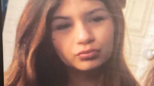 A 14-year-old girl has gone missing in Oxley, Brisbane.