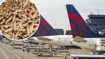 Maggots and Delta Airlines planes.