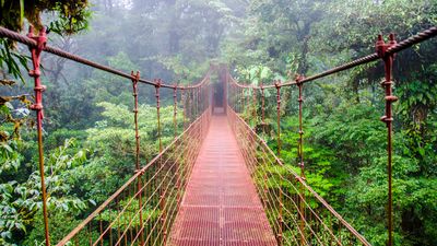 19. Monteverde Cloud Forest Reserve, Costa Rica
