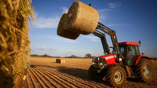 Australian hay farmers are waiting to find out if their export permits to China will be renewed.