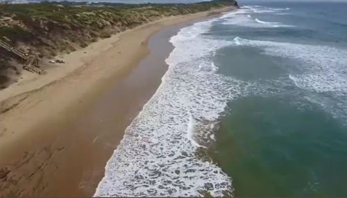 Victorian Surf Coast beaches remain under observation after reports of shark attack dismissed